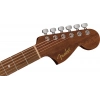 Акустична гітара Fender CA STD Monterey E IPG SFG