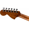 Акустична гітара Fender CA STD Monterey E IPG SFG