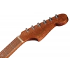 Акустична гітара Fender CA STD Redondo CE IPG FRD