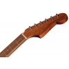 Акустична гітара Fender CA STD Redondo IPG BLK
