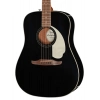 Акустична гітара Fender CA STD Redondo IPG BLK