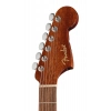 Акустична гітара Fender CA STD Redondo IPG BLK