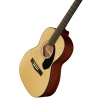 Акустическая гитара Fender CP-60S Parlor Natural WN