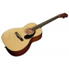 Акустическая гитара Fender CP-60S Parlor Natural WN