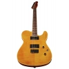 Електрогітара Fender Custom Telecaster FMT HH AM IL