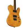 Електрогітара Fender Custom Telecaster FMT HH AM IL
