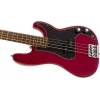 Бас-гітара Fender Nate Mendel P Bass