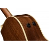 Акустическая гитара Fender Newporter Player Sunburst WN