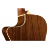 Акустическая гитара Fender Newporter Player Sunburst WN
