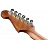 Акустическая гитара Fender Newporter Player Sunburst WN