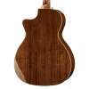 Акустическая гитара Fender Newporter Player Sunburst WN