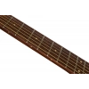 Акустическая гитара Fender Newporter Player TPL WN