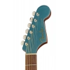 Акустическая гитара Fender Newporter Player TPL WN