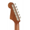 Акустическая гитара Fender Newporter Player TPL WN