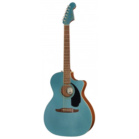 Акустическая гитара Fender Newporter Player TPL WN