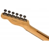 Електрогітара Fender Player II Tele RW AQB