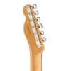 Електрогітара Fender Player II Tele RW AQB