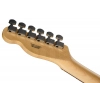 Електрогітара Fender Standard Tele LRL WPG 3TS