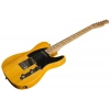 Электрогитара Fender Standard Tele MN BPG BTB