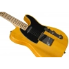 Электрогитара Fender Standard Tele MN BPG BTB