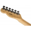 Електрогітара Fender Standard Tele MN WPG AMM