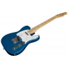 Електрогітара Fender Standard Tele MN WPG AMM