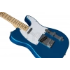 Електрогітара Fender Standard Tele MN WPG AMM