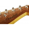 Електрогітара Fender Troy V Leeuwen Jazzmaster MN