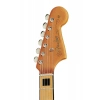 Електрогітара Fender Troy V Leeuwen Jazzmaster MN
