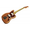 Електрогітара Fender Troy V Leeuwen Jazzmaster MN