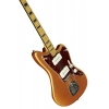Електрогітара Fender Troy V Leeuwen Jazzmaster MN