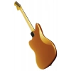 Електрогітара Fender Troy V Leeuwen Jazzmaster MN