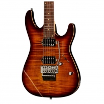 Harley Benton Fusion-III HH FR EB FBB