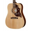 Акустична гітара Gibson Hummingbird Special SN