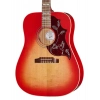 Акустична гітара Gibson Hummingbird Special SVS