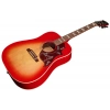 Акустична гітара Gibson Hummingbird Special SVS
