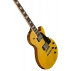 Електрогітара Gibson Les Paul Studio Figured Ant Na