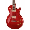 Електрогітара Gibson Warren Haynes Les Paul Std