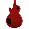 Електрогітара Gibson Warren Haynes Les Paul Std