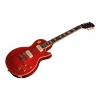 Електрогітара Gibson Warren Haynes Les Paul Std