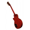 Електрогітара Gibson Warren Haynes Les Paul Std