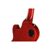 Електрогітара Gibson Warren Haynes Les Paul Std