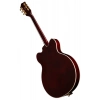 Електрогітара Gretsch G5422TG Electromatic WS