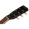 Акустическая гитара Gretsch JD DREAD MAH WPG CHRY BRST