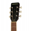 Акустична гітара Gretsch JD Dread WPG RXB