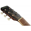 Акустична гітара Gretsch JD Parlor WPG RXB