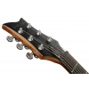 Электрогитара Harley Benton Agufish STD Signature BK