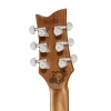 Электрогитара Harley Benton Agufish STD Signature BK