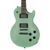 Электрогитара Harley Benton Agufish STD Signature SFG