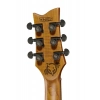 Электрогитара Harley Benton Agufish STD Signature SFG
